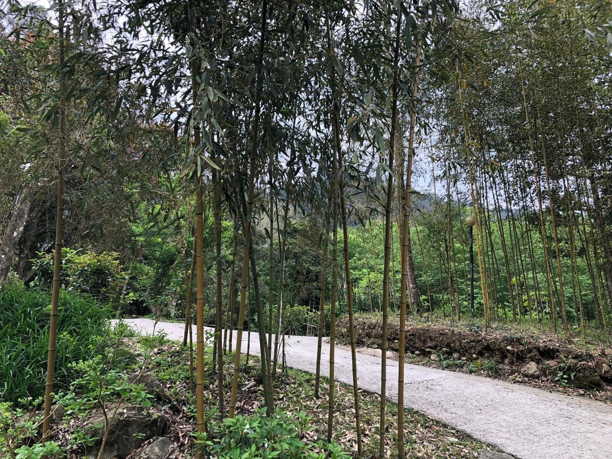 Hemerocallis Country House Nanzhuang Εξωτερικό φωτογραφία