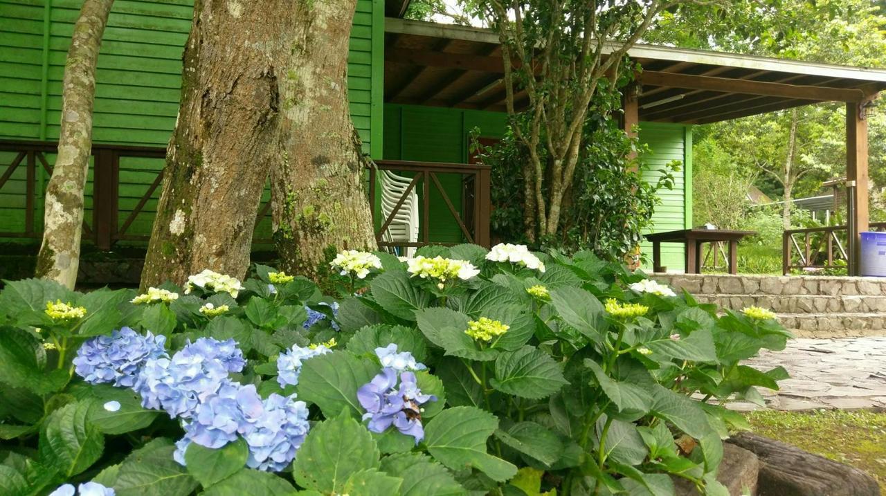 Hemerocallis Country House Nanzhuang Εξωτερικό φωτογραφία
